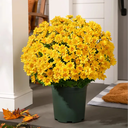 🏆 50K+ SOLD! 💥Last Day Each - Artificial Outdoor Sunset Mums Flowers -  Waterproof, Windproof