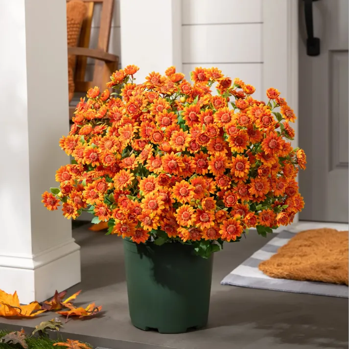 🏆 50K+ SOLD! 💥Last Day Each - Artificial Outdoor Sunset Mums Flowers -  Waterproof, Windproof